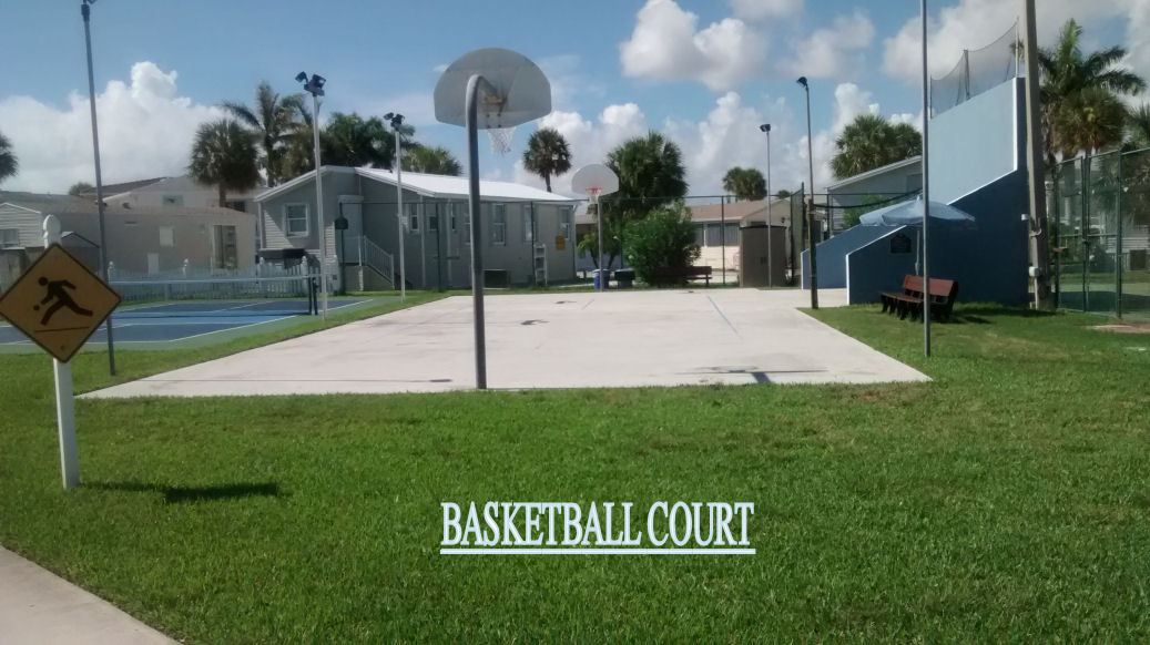 BasketBall-Court