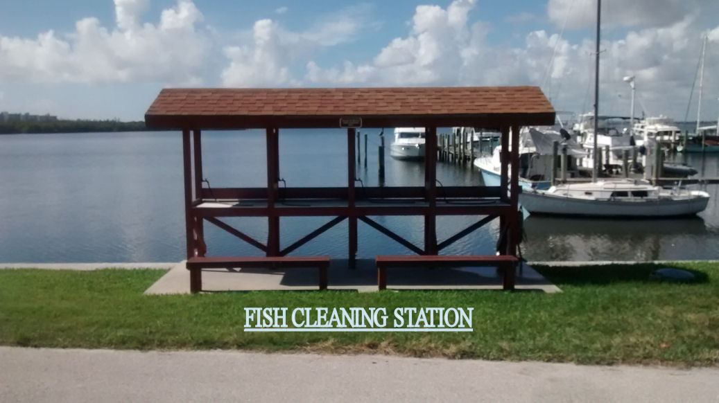 Fish-Cleaning-Station